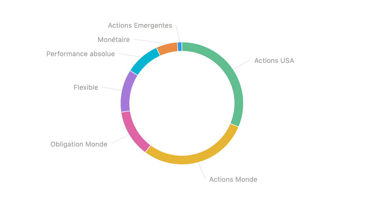 Graphique - Allocation géographique